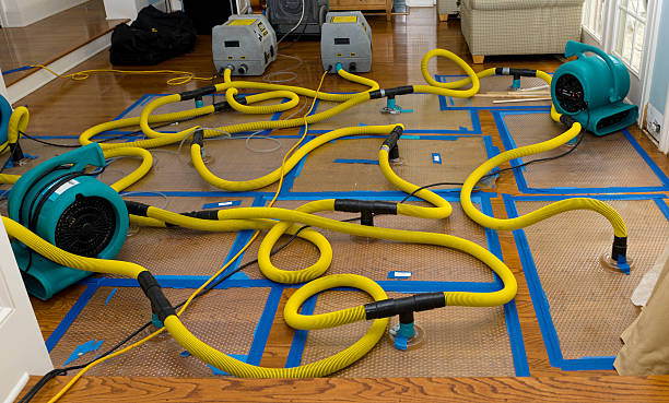 Professional Storm Water Damage Restoration technician working in Parksville, KY